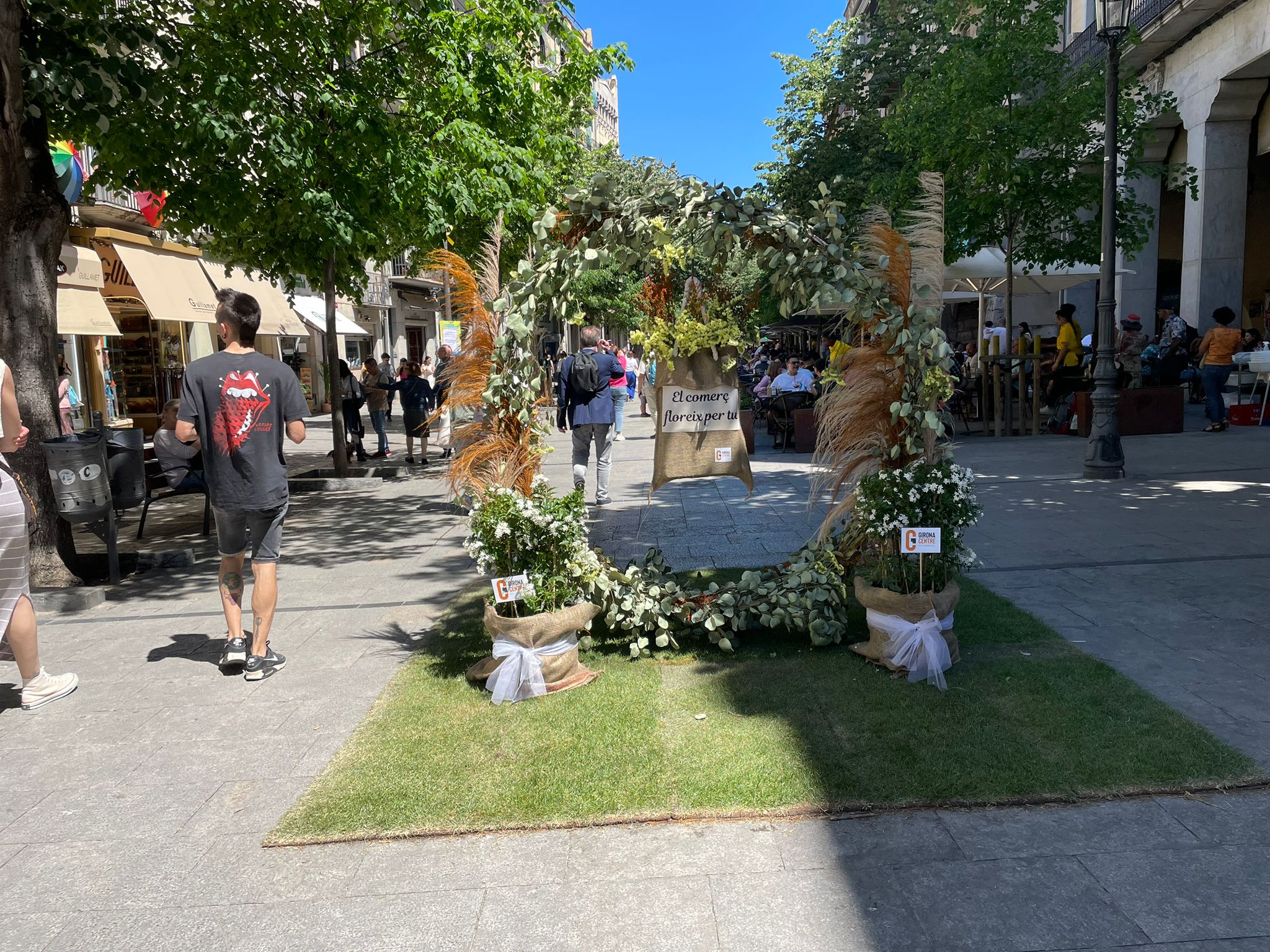 Projecte Temps de Flors a la rambla.