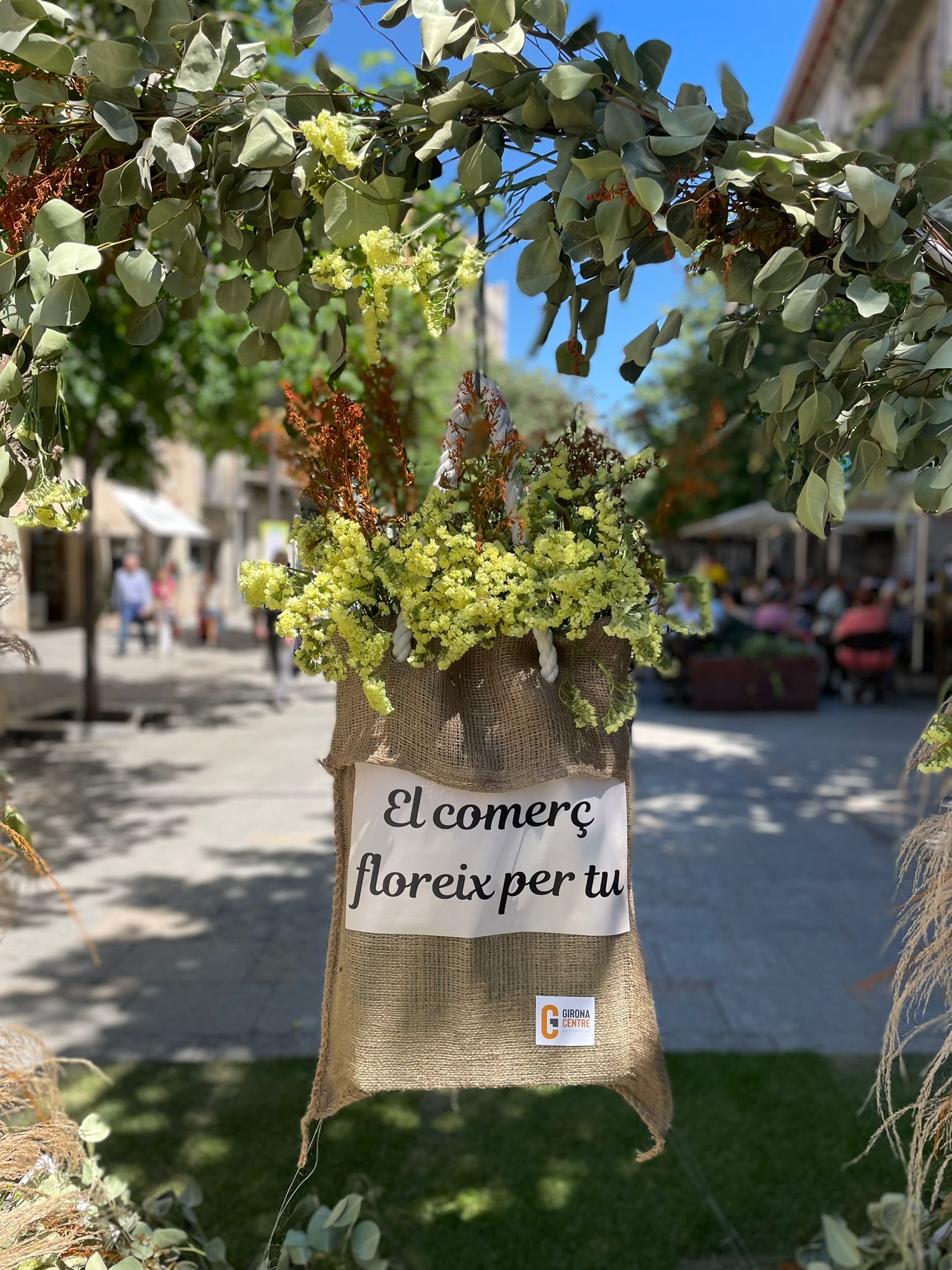 Projecte Temps de Flors a la rambla